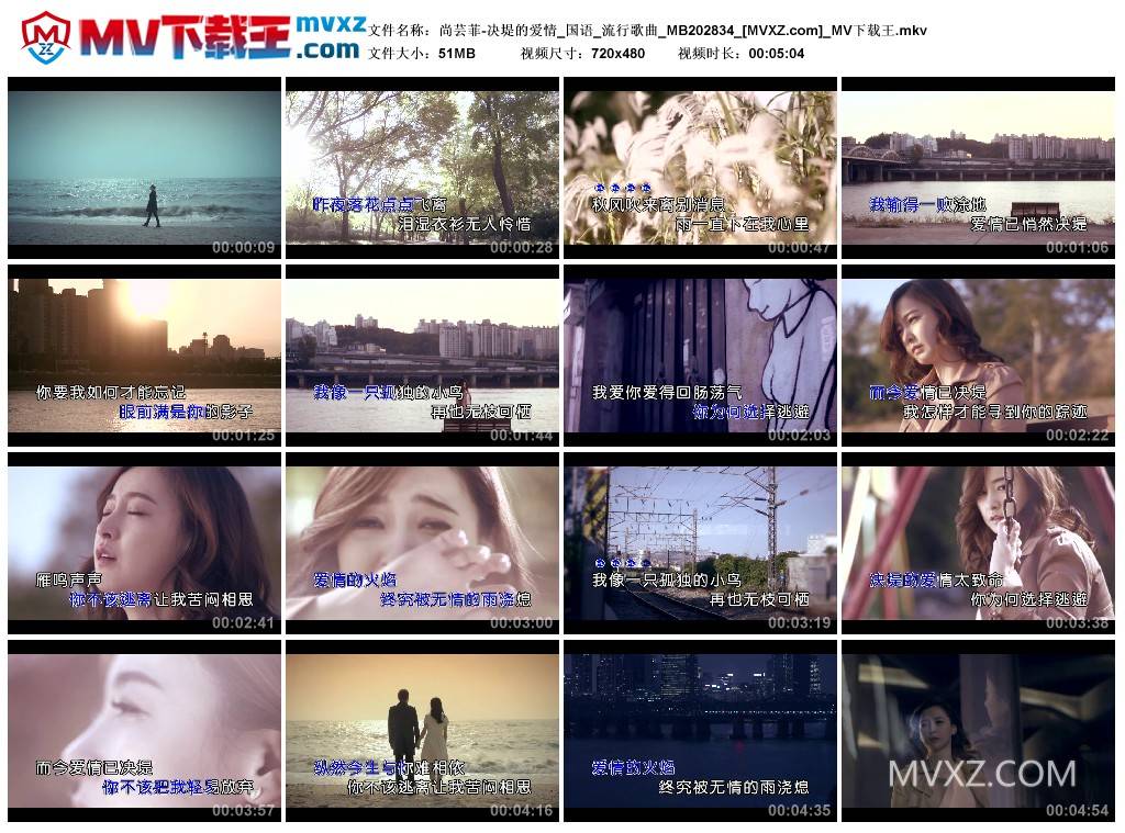 尚芸菲-决堤的爱情_国语_流行歌曲_MB202834